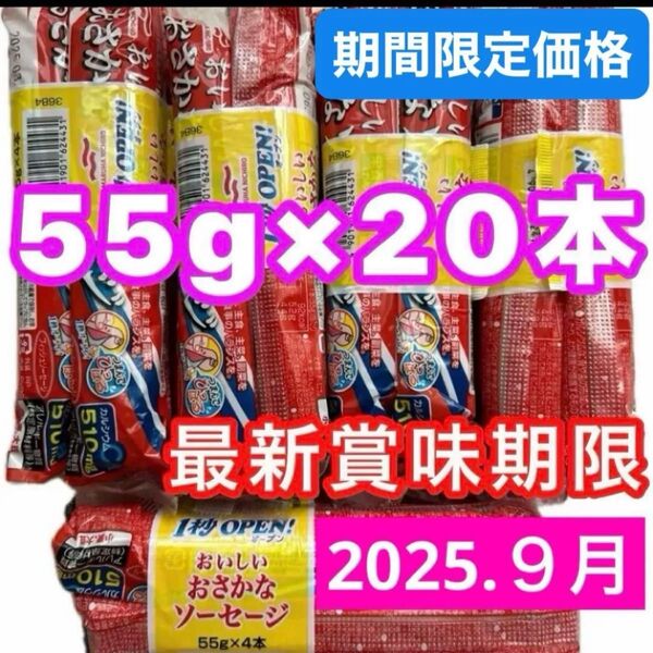 マルハニチロ おさかなソーセージ 魚肉ソーセージ 55g×20本 栄養機能食品 カルシウム 最新賞味期限 2025年9月21日