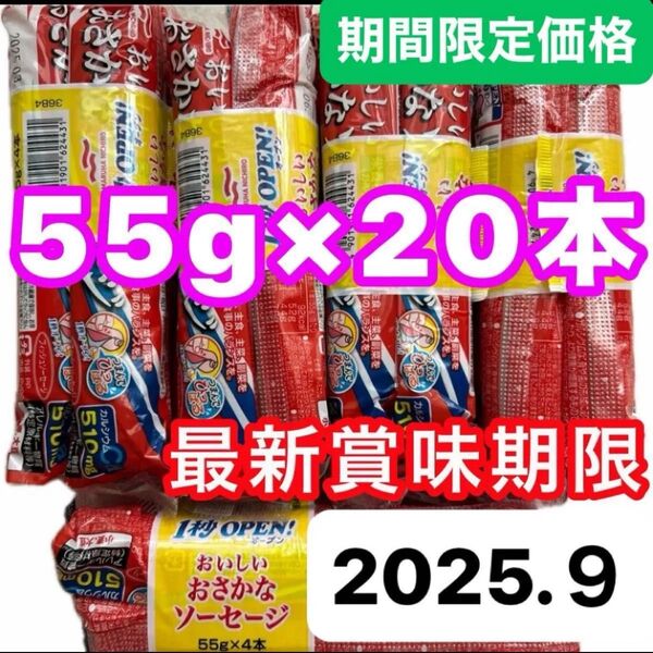 マルハニチロ おさかなソーセージ 魚肉ソーセージ 55g×20本 栄養機能食品 カルシウム 最新賞味期限 2025年9月21日
