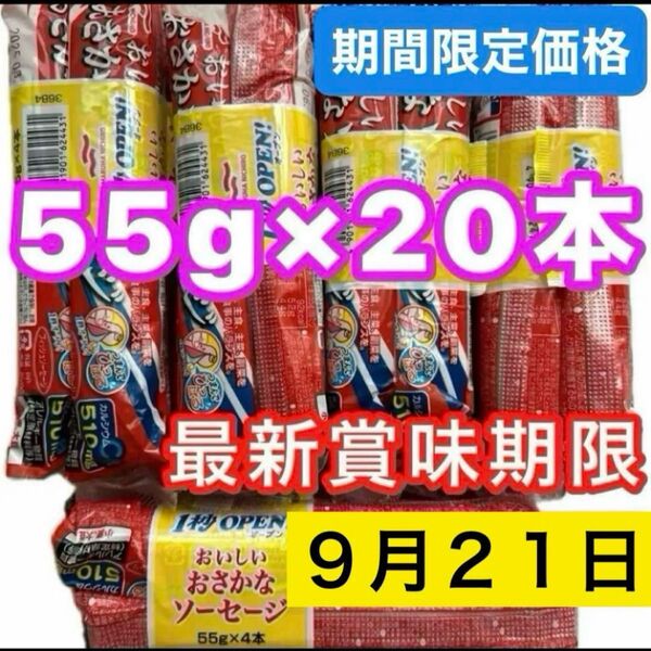 おさかなソーセージ 55g 20本 魚肉ソーセージ フィッシュソーセージ カルシウム おやつ ビールのおつまみ 酒のあて お弁当