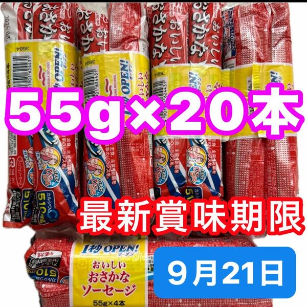 フィッシュソーセージ おさかなソーセージ お魚ソーセージ 大きいサイズ 20本 まとめ売り おつまみ おかず 食品 おやつ