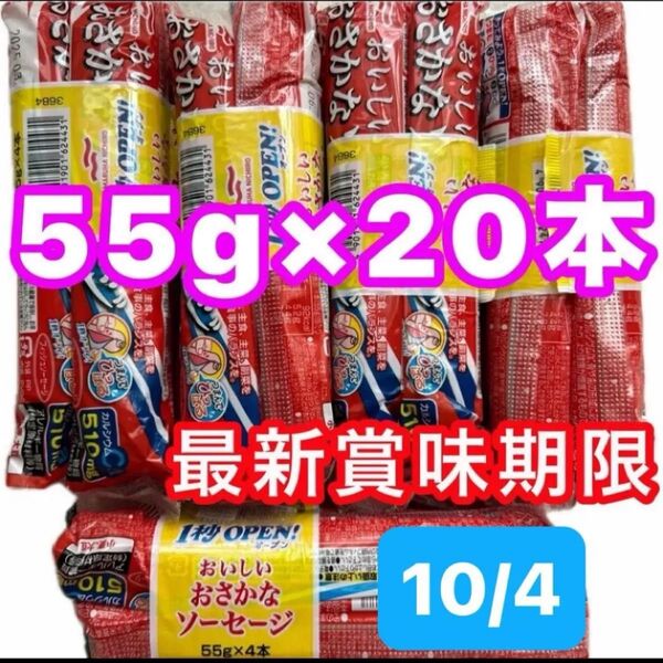 【箱詰め発送】 おさかなソーセージ 55g ×20本 魚肉ソーセージ フィッシュソーセージ カルシウム おやつ おつまみ 弁当