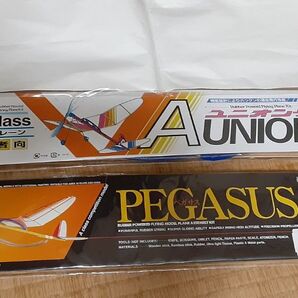 A級ライトプレーン UNION&PEGASUS 2機セット