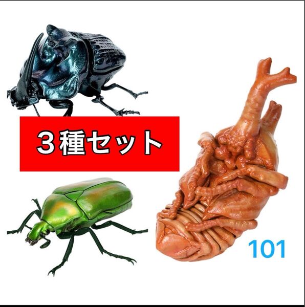 〈オンライン版 3種セット〉 いきもの大図鑑かぶとむし07 バンダイ
