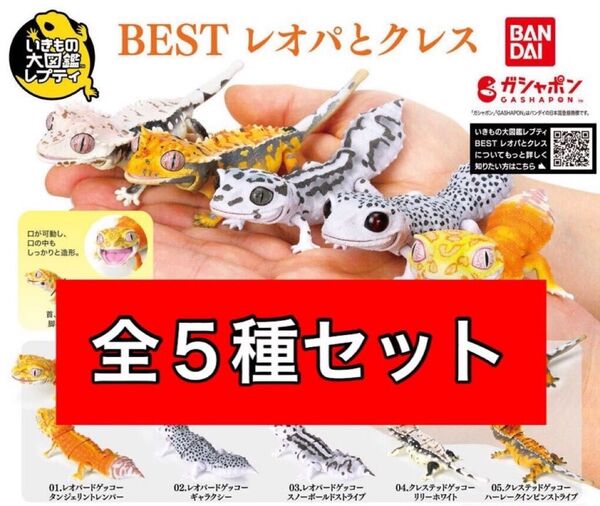 〈全5種セット〉 いきもの大図鑑レプティ BEST レオパとクレス バンダイ