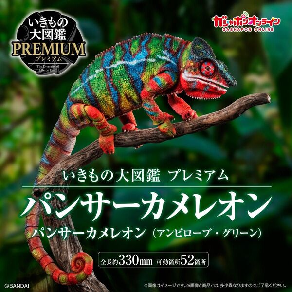 いきもの大図鑑プレミアム パンサーカメレオン(アンビローブ・グリーン) バンダイ