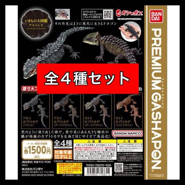 〈全4種セット〉 いきもの大図鑑アドバンス アカメカブトトカゲとモトイカブトトカゲ バンダイ