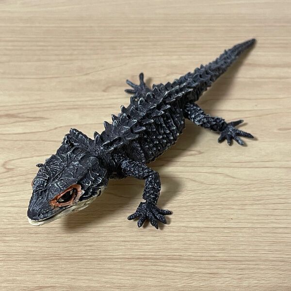 アカメカブトトカゲ(ブラック) いきもの大図鑑アドバンス アカメカブトトカゲとモトイカブトトカゲ バンダイ