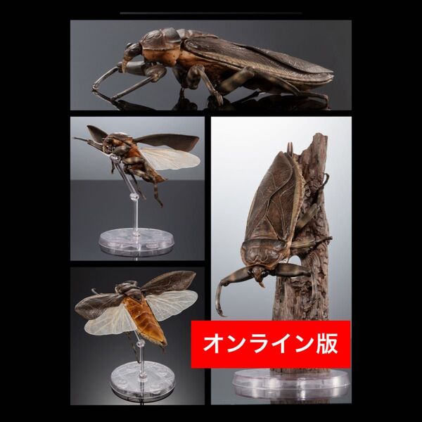 【オンライン版】 タガメ(ダークカラー) いきもの大図鑑アドバンス 水生昆虫 タガメ バンダイ