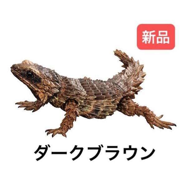 アルマジロトカゲ(ダークブラウン) いきもの大図鑑アドバンス アルマジロトカゲ バンダイ