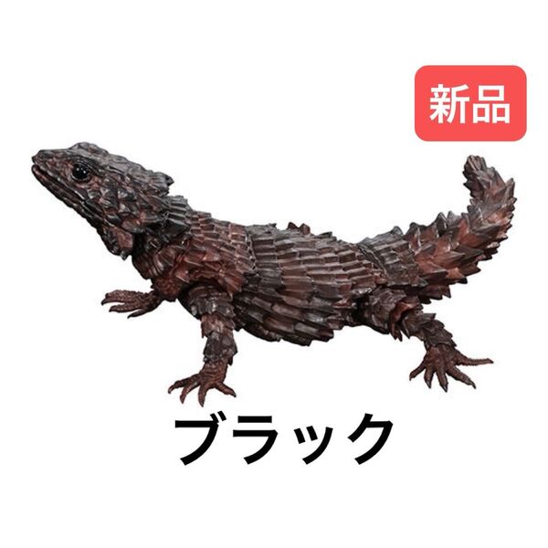 アルマジロトカゲ(ブラック) いきもの大図鑑アドバンス アルマジロトカゲ バンダイ