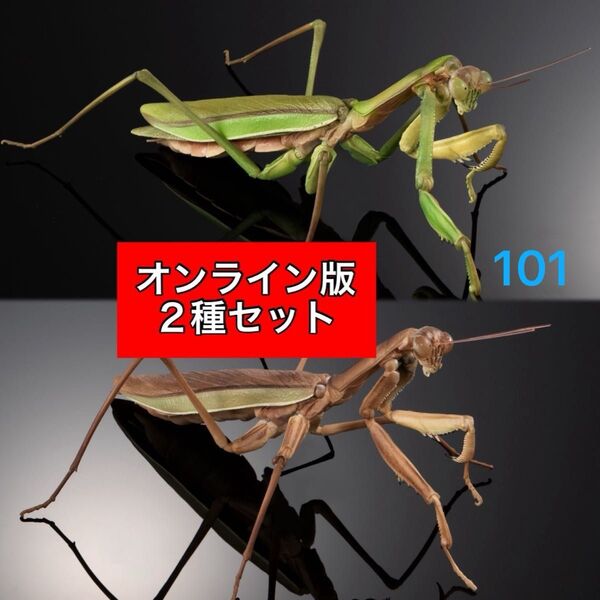 〈オンライン版 2種セット〉 オオカマキリ(緑色型、褐色型) いきもの大図鑑アドバンス オオカマキリとショウリョウバッタ バンダイ