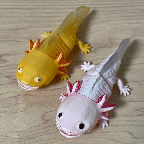 〈2種セット〉 メキシコサラマンダー いきもの大図鑑レプティ オオサンショウウオとメキシコサラマンダー バンダイ