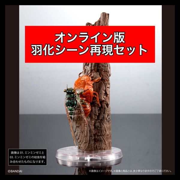 〈オンライン版〉 羽化シーン再現セット ミンミンゼミ 幼虫 いきもの大図鑑アドバンス セミ01 バンダイ