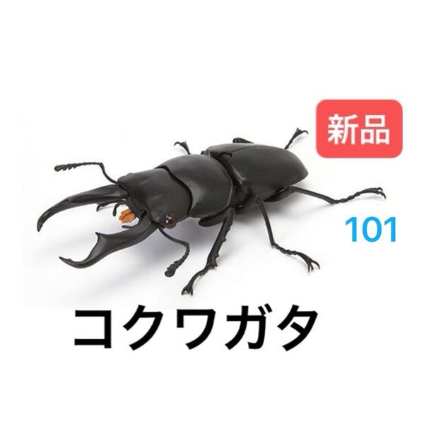 コクワガタ いきもの大図鑑くわがた04 バンダイ