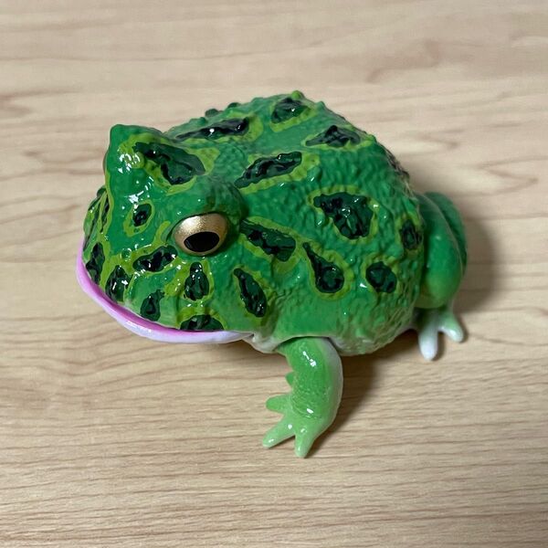 ベルツノガエル(グリーン) いきもの大図鑑レプティ ツノガエルとアメフクラガエル バンダイ