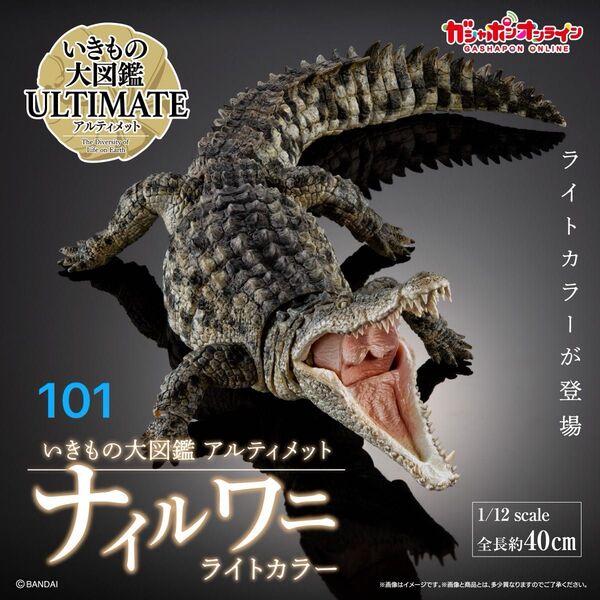 ナイルワニ(ライトカラー)いきもの大図鑑アルティメット バンダイ