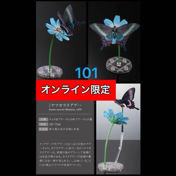 〈オンライン限定カラー〉 ミヤマカラスアゲハ いきもの大図鑑アドバンス アゲハチョウ バンダイ