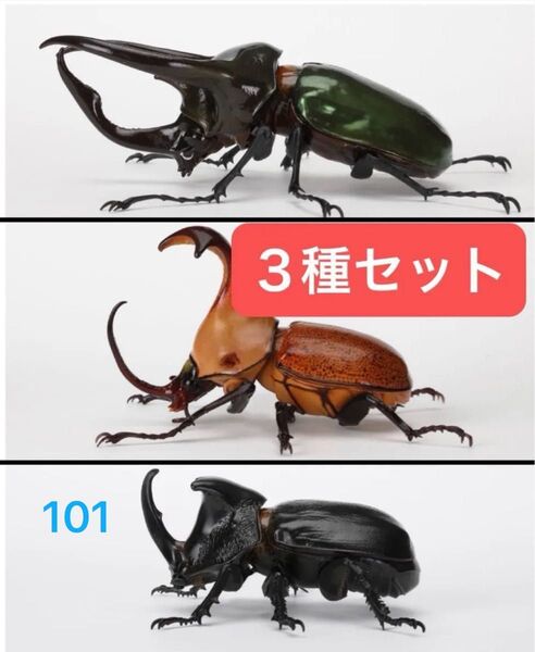 〈3種セット〉 いきもの大図鑑かぶとむし06 バンダイ