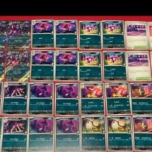マリィのオーロンゲex進化ライン モルペコレパルダスチョロネコズルズキンズルック