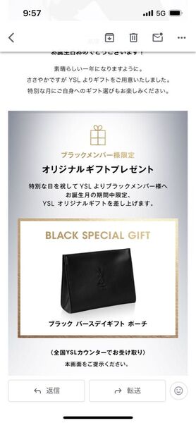 YSL(イヴ・サンローラン)のノベルティポーチ