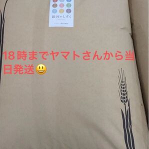 玄米・岩手県産・銀河のしずく30kg 17時まで当日発送