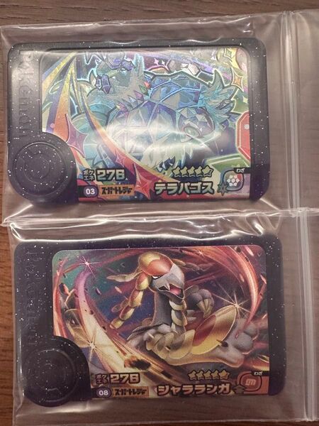 フレンダ テラパゴス&ジャラランガ