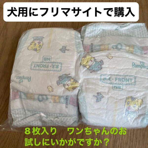 犬用に購入したPampers 紙オムツ 新生児 NBサイズ 8枚