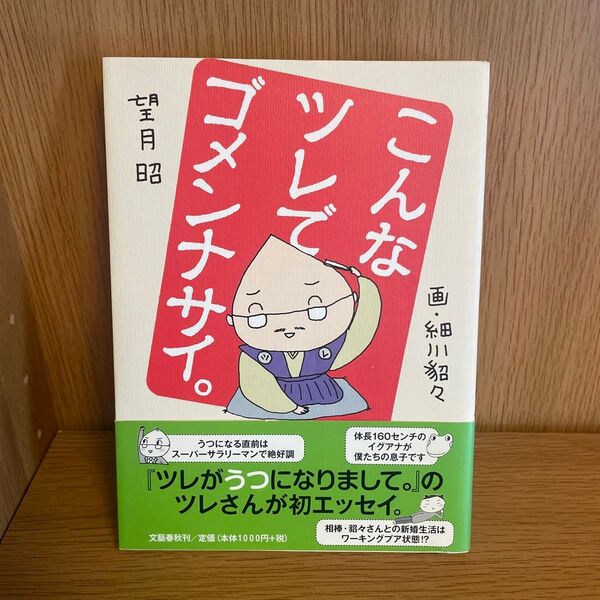 こんなツレでごメンナサイ。 望月昭 細川貂々