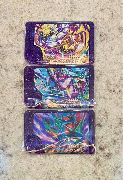 ポケモンフレンダ 第5段 スーパートレジャー タケルライコ ボーマンダ ウネルミナモ