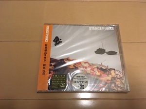 新品 未開封 最低最高999/雑草の花 / STANCE PUNKS