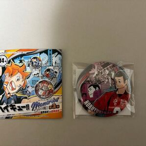 ハイキュー コレクション缶バッジ メモリーズ 第3弾 海信行