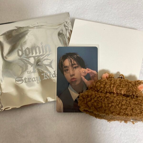 Straykids ランダムミニボアキャップ ハン たまごっちトレカ