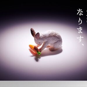 もっと、お納めください。 うさぎ×2