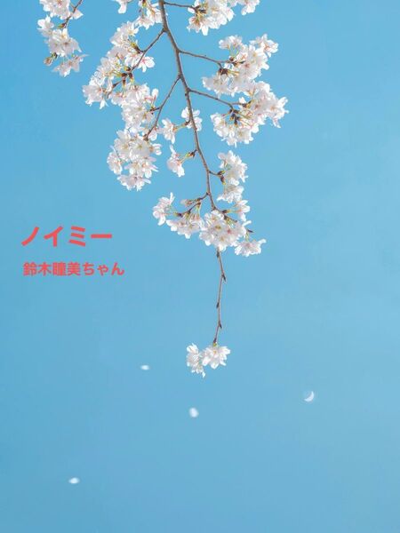 ノイミー まとめ売り 鈴木瞳美 ※即購入不可