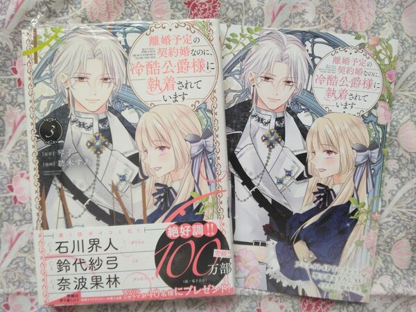 離婚予定の契約婚なのに、冷酷公爵様に 3 (ぶんか社コミックス PRIMO COMI) 琴子