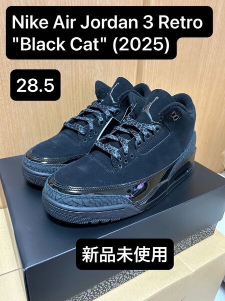 Nike Air Jordan 3 Retro "Black Cat" ナイキエアジョーダン3 ブラックキャット 28.5