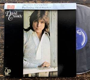 LP【Cherish チェリッシュ】David Cassidy（デビッド・キャシディー）