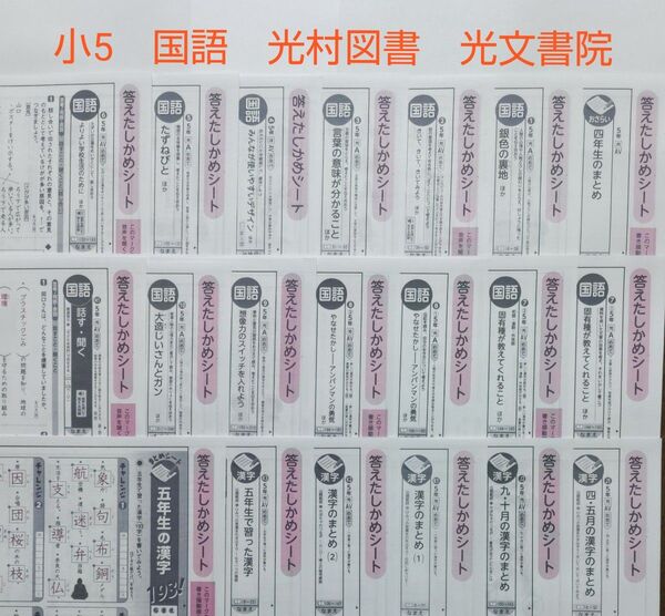 小5 国語 カラーテスト答え 光村図書