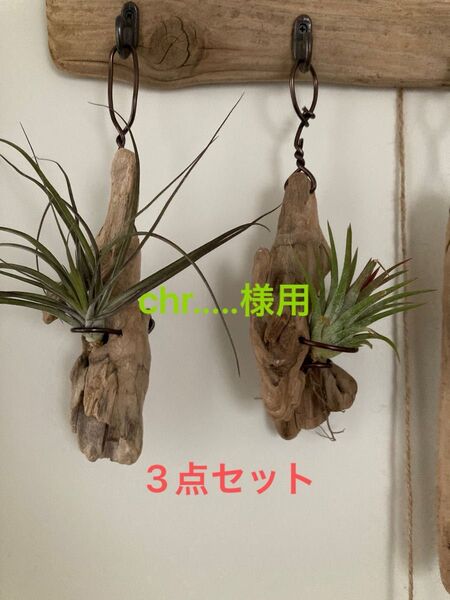 エアプランツ 流木 壁掛け インテリア ハンギング ハンドメイド