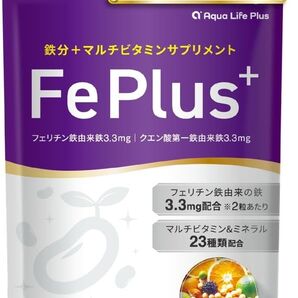 Fe Plus フェリチン鉄 3.3mg 鉄分 マルチビタミン 美容成分 サプリ
