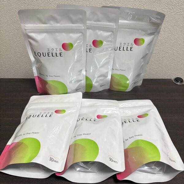大塚製薬 エクエル EQUELLE パウチ 120粒 6袋セット