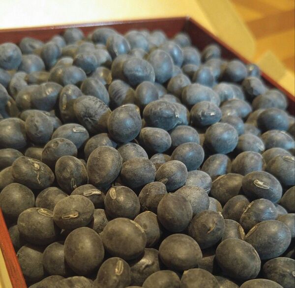 信州産 黒豆 500g