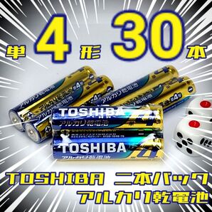 東芝アルカリ乾電池 単4/30本