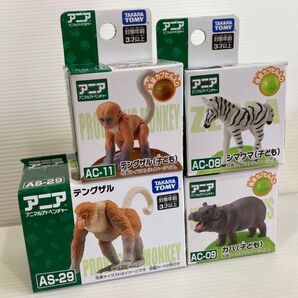 アニア アニマルアドベンチャー テングザル テングザル ( 子ども ) シマウマ ( 子ども ) カバ ( 子ども ) 各1点