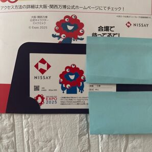 関西万博入場チケット 中人 1枚 EXPO2025 一日券 大阪万博チケット