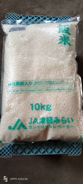 白米 20kg まっしぐら 青森県令和6年産 真空パック脱酸素剤入