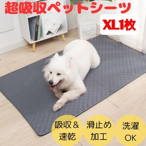 ペットシーツ 洗える XLサイズ トイレマット おしっこシート 再利用 大型犬 洗濯可