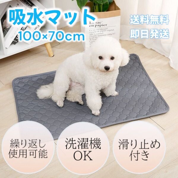 シーツ ゲージ 室内 ペット 大型犬 匂い 対策 清潔 長方形 シンプル 高品質 吸水 猫 犬 防水 洗える トイレシート グレー
