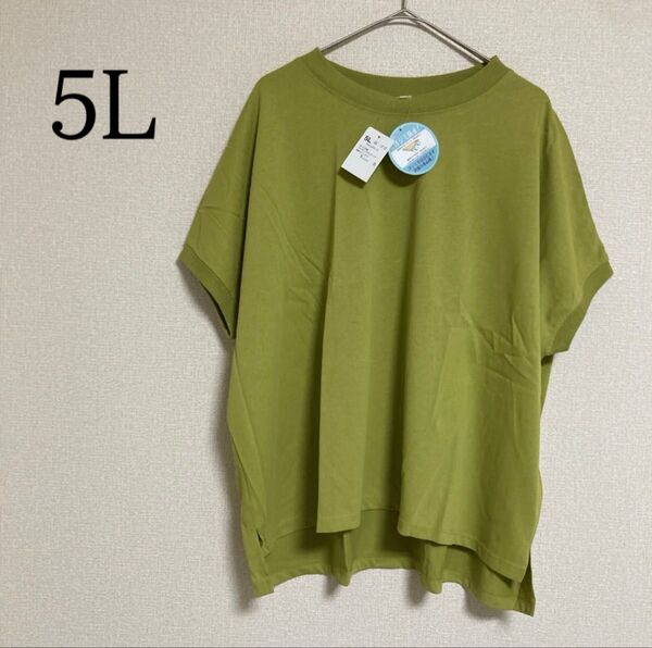 半袖 プルオーバー カットソー Tシャツ 大きいサイズ 5L 汗ジミ対策 消臭
