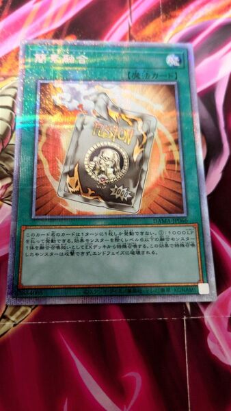 簡素融合 プリシク